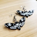 Pendientes colgantes de mariposa para mujer C1072 3