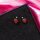 Pendientes de mujer con circonitas G1368 5