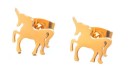 Pendientes de mujer G266 22