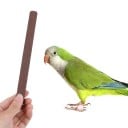 Perch for Parrots for Claw and Beak Filing Straight Shape with Rough Gritty Surface Wood and Metal Secured with a Screw and Wing Nut 4