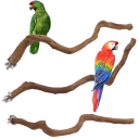 Perchoir naturel pour perroquets Perchoir en bois pour oiseaux 30 cm 1