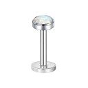Perforación de oreja 1,2 x 6 x 3 mm 3