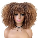Perruque bouclée pour femmes N899 20