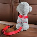 Pet Car Seat Belt Adjustable Polyester Strap with Metal Buckle Colourful Design Travel Accessory for Dogs 4