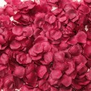 Pétales de rose 100 pcs 8