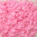 Pétales de rose 100 pcs 7