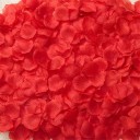 Pétales de rose 100 pcs 2