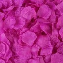 Pétales de rose artificiels 2000 pcs Pétales décoratifs 5 x 5 cm 13