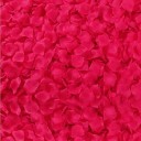 Pétalos de rosa 500 uds. 9
