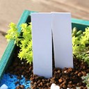 Pflanzenetiketten für Blumentöpfe 100 Stück 2