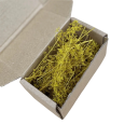 Piante modellistiche essiccate in scatola 10,5 × 5,3 × 5,3 cm Decorazione naturale per diorami e paesaggi in miniatura 5