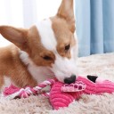 Pibende plyslegetøj til hunde - egern 19x11 cm - interaktivt hundelegetøj - holdbart plyslegetøj til små og mellemstore hunde - tyggelegetøj 2
