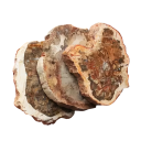 Piedra de madera natural forma irregular 50–100 g material fósil natural dibujo marrón-beige mineral decorativo para colecciones 2