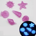 Piedras decorativas luminosas de concha marina 2
