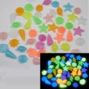 Piedras decorativas luminosas de concha marina 8