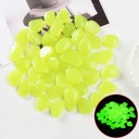 Piedras luminosas decorativas 8