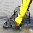 Piège à appâts pliable 33 x 60 cm Piège à crevettes, crabes et homards Piège de pêche pour fruits de mer Cage en filet pliable 2