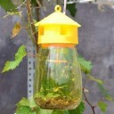 Piège à insectes suspendu 2
