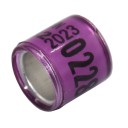 Pigeon Rings 50 pcs 7