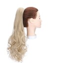 Pince à cheveux clip in 12