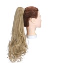 Pince à cheveux clip in 15