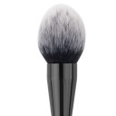 Pinceau à poudre professionnel 2