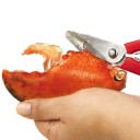 Pinces à homard 5