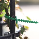 Pinces à plantes 100 pcs H913 4