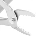 Pinces apicoles pour retirer les cadres avec écarteur 4