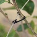 Pinces pour la fixation des plantes 100 pcs 2