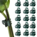 Pinces pour orchidées 100 pcs 1