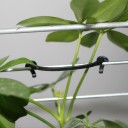 Pinces pour plantes 2000 pcs 2