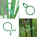 Pinces pour plantes 5