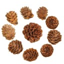Pine Cones 20 pcs 2