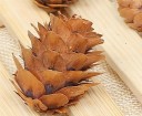Pine Cones 20 pcs 3