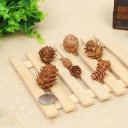 Pine Cones 20 pcs 4