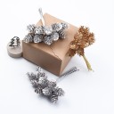 Pinhas decorativas 10 unid 2