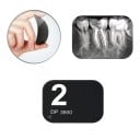 Placa de fósforo para raios X dentários sem íman, tamanho 2 (31 × 41 mm), sensor PSP digital, preto, para RX intraoral com scanner 2