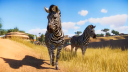 Planet Zoo Deluxe Edition PC Steam Account 7