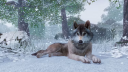 Planet Zoo Deluxe Edition PC Steam CD Kľúč 6