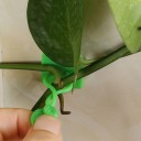 Plant Clips Leaves 100 pcs 4