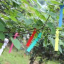 Plant Labels 100 pcs C921 9