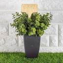 Plant Labels 50 pcs 4