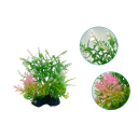Planta artificial para acuario 14 cm Plástico blando Hierba realista Decoración de vegetación acuática Refugio para peces Adorno de acuario Sin 2