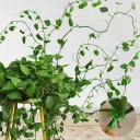 Plantbladsklämmor 100 st 3