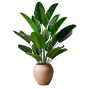 Plante artificielle Strelitzia 81,5 cm décoration intérieure avec 18 feuilles plante artificielle réaliste pour appartement et bureau 1