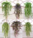 Plante suspendue artificielle C584 4