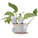 Planteetiketter 100 stk H906 2