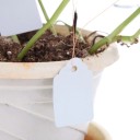 Planteetiketter 100 stk H906 3
