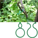 Planteklemmer 6